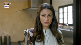 Ghair - Episode 16 - 9th November 2024